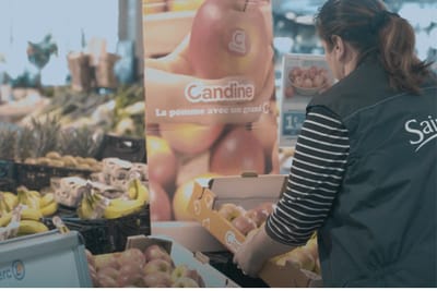 Dans les coulisses de la production de la pomme Candine®, nouvelle star des rayons