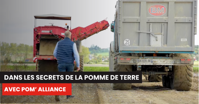 Dans les secrets de la production de pommes de Terre chez Pom' Alliance