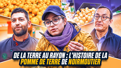 De la Terre au Rayon : Les Secrets de la Pomme de Terre de Noirmoutier