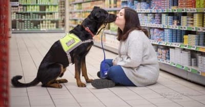 Une jeune femme se voit refuser l’entrée dans un supermarché à cause de son chien d’assistance
