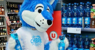Le Chibre bleu : la boisson gazeuse issue d’un projet étudiant rejoint les rayons de la grande distribution