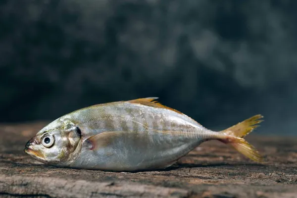 86% des poissons vendus en grande distribution sont issus d'une pêche "non durable"