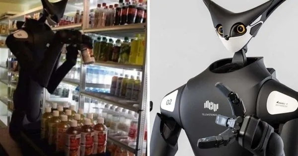 Les robots vont-ils remplacer les employés de la grande distribution